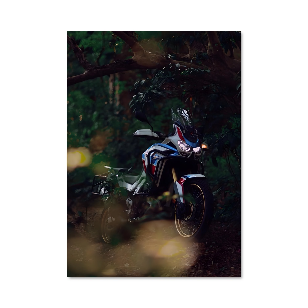 Poster splendide moto Africa Twin CRFL